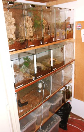 Ľavá strana fotené 3.5.2013